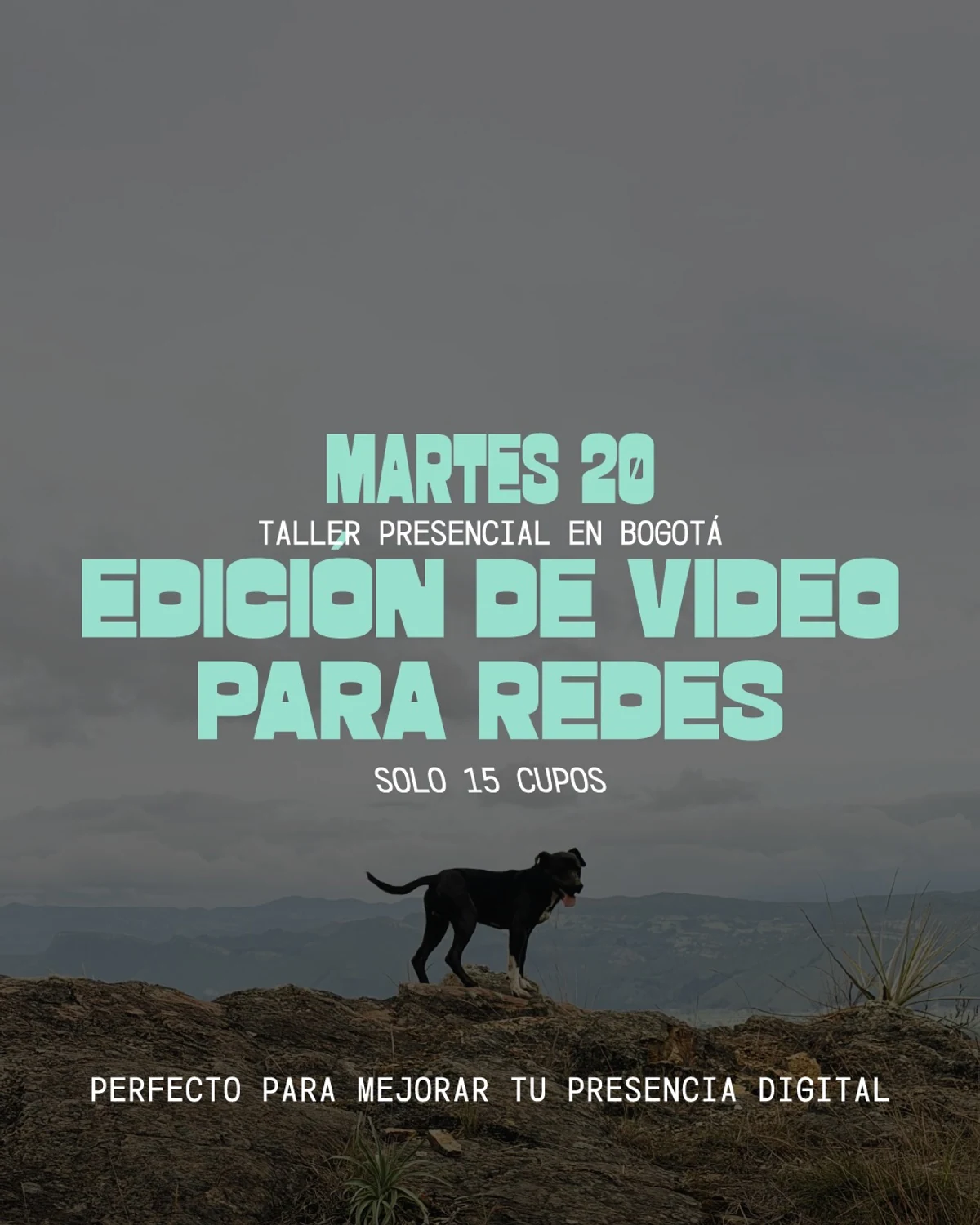 Taller de edición de video para redes · Fuerza Natural