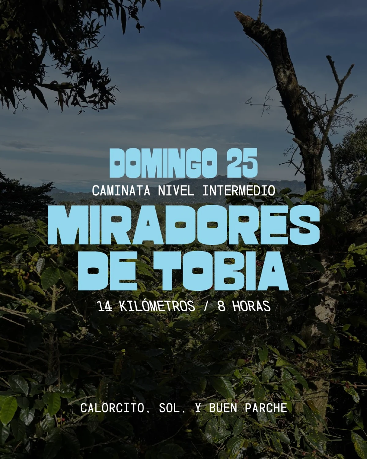Miradores de Tobia · Fuerza Natural